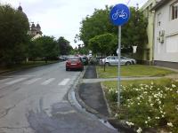 Imagine atasata: pista crisan 09.JPG